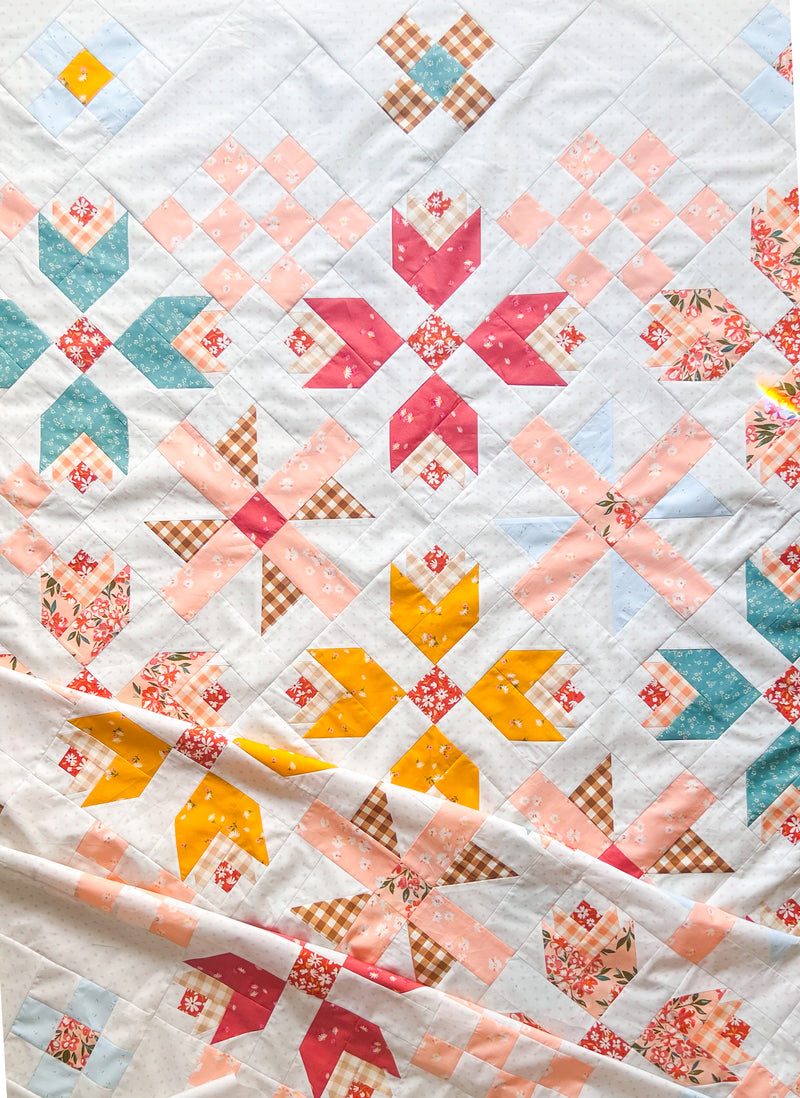 Cozy and Magical Sweet Home Quilt Kit by Maureen Cracknell and Sharon Holland
