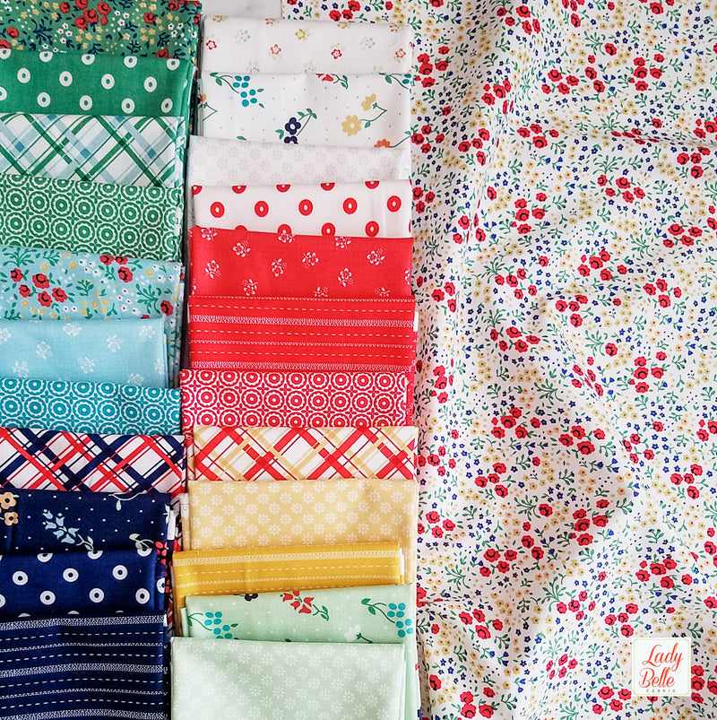 Sugarhouse Park by Amy Smart for Riley Blake Half Yard Bundle