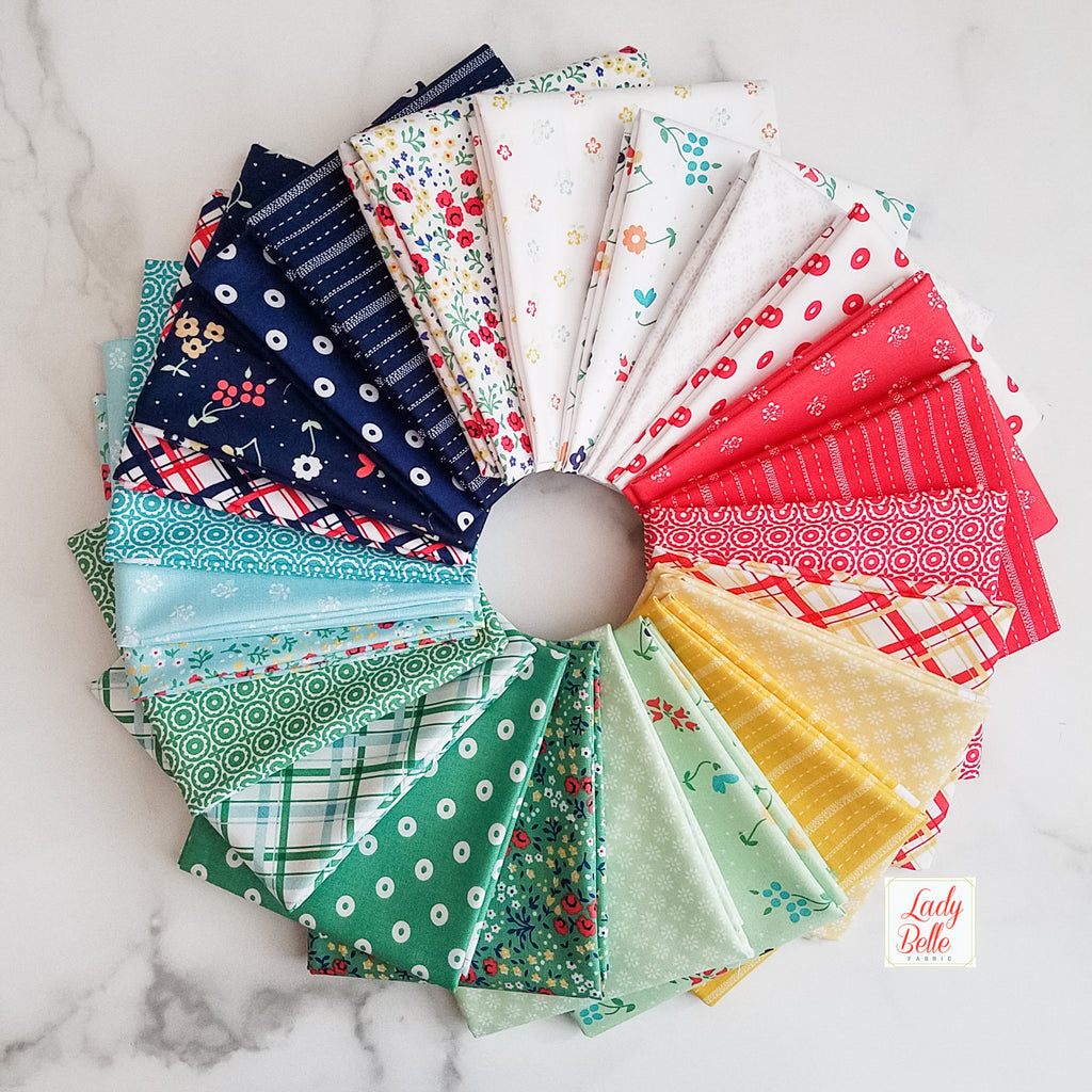 Sugarhouse Park by Amy Smart for Riley Blake Half Yard Bundle