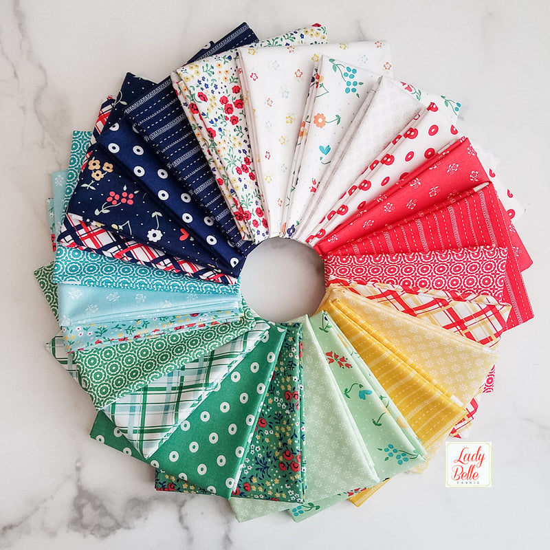 Sugarhouse Park by Amy Smart for Riley Blake Half Yard Bundle